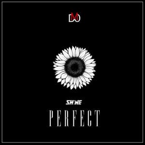 Album: PERFECT