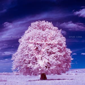 Single: Strange World