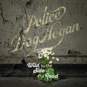 Album: Wild By the Side of the Road
