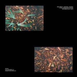 Album: Bad Vibes: Rarities + Extras