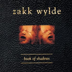 Album: Book Of Shadows