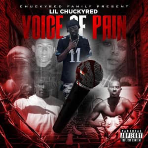 Album: Voice Of Pain