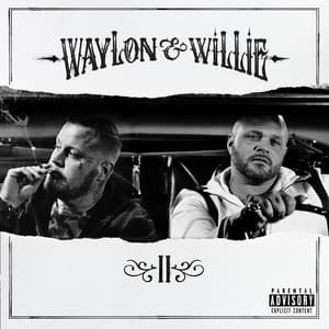 Album: Waylon & Willie 2