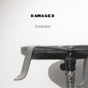 Album: Damaged