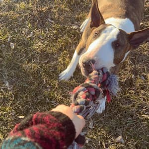 Single: Cameron Pass