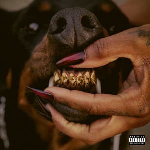 Album: MUTT Deluxe: HEEL