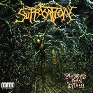 Album: Pierced From Within