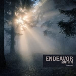 Single: Motif 9 - Endeavor