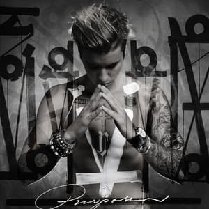 Album: Purpose (Deluxe)