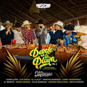 Album: Desde La Playa Vol. 2 (En Vivo)