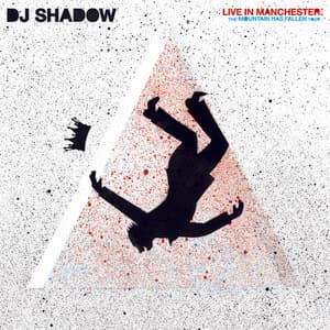 Album: Live in Manchester: The Mountain Has Fallen Tour