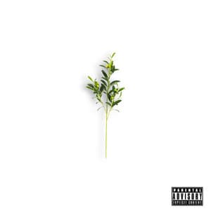 Album: Olive Branch