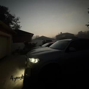 Single: everything i did for you