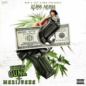 Album: Bitches Gunz & Marijuana