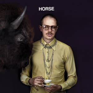 Album: Horse