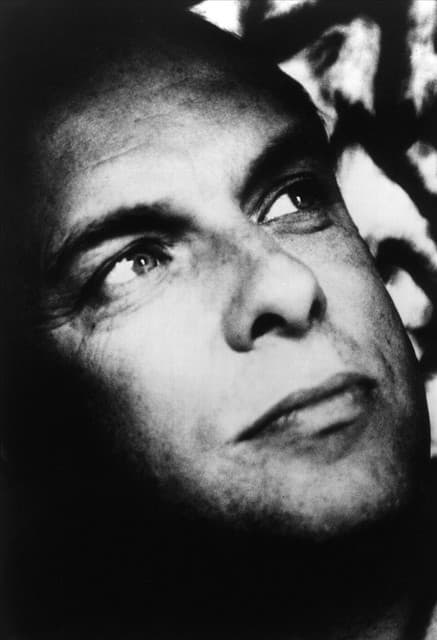 Brian Eno gallery photo 11