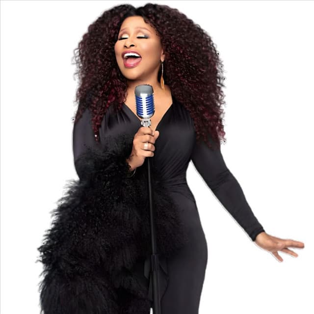 Chaka Khan gallery photo 2