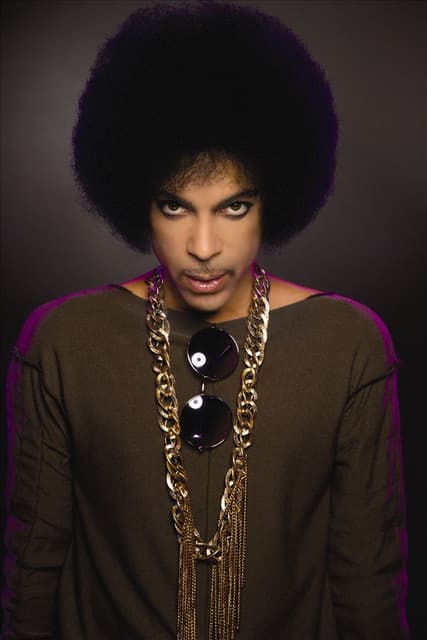 Prince gallery photo 1