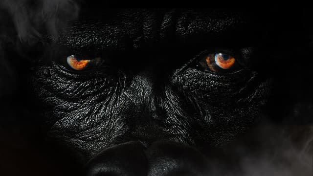 SheekLouch gallery photo 5